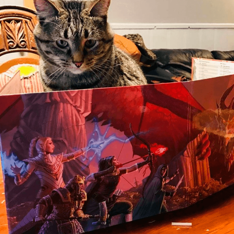 Juegos de Rol 3